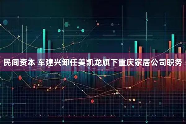 民间资本 车建兴卸任美凯龙旗下重庆家居公司职务
