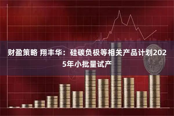 财盈策略 翔丰华：硅碳负极等相关产品计划2025年小批量试产